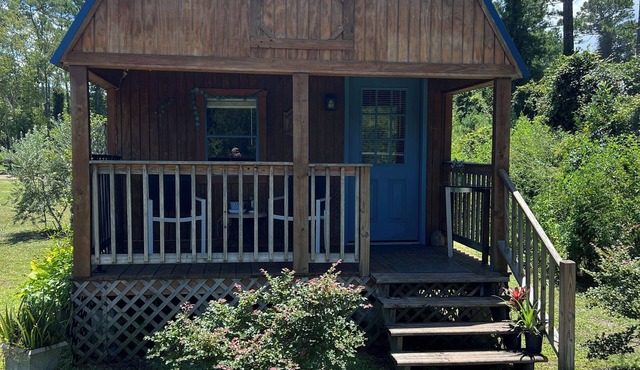 Cabin in Satsuma Immersed in nature on a pond at the edge of the woods