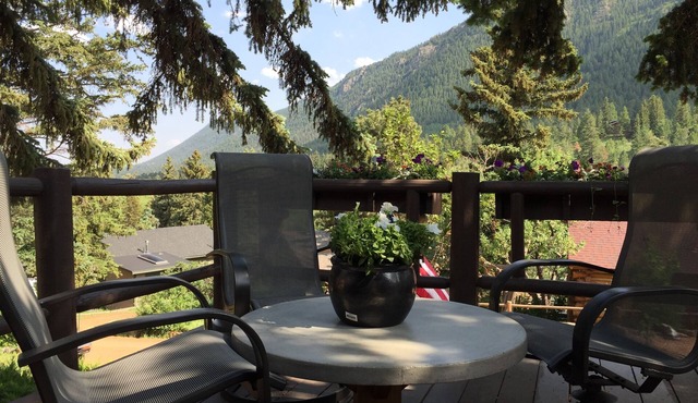 Cabin in the Pines, Artfully Renovated - Great Views - Quaint Green Mtn Falls.