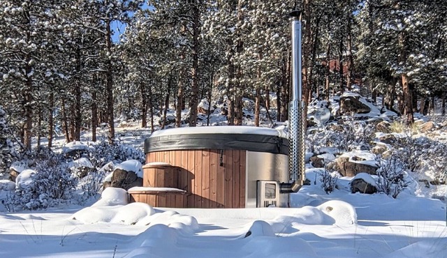 Cabin in the Bear's Den