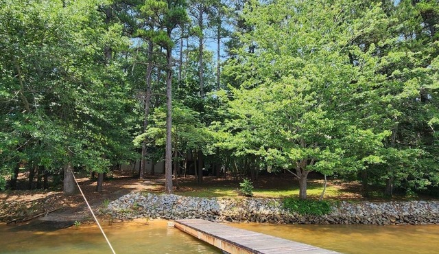 "Cabin in the Cove" Private waterfront home on beautiful Lake Hartwell