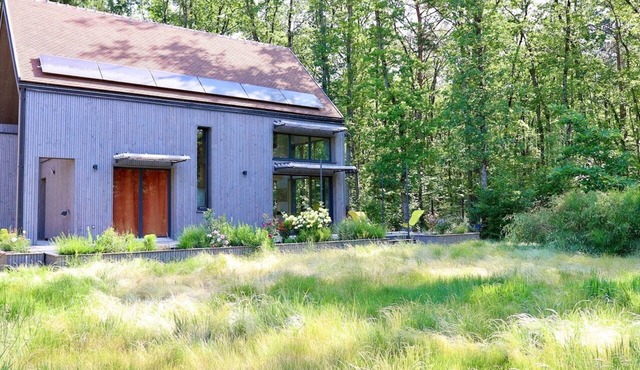 Cabin in the Fontainebleau Forest