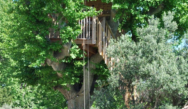 Cabin in the plane tree, swimming pool, trampoline