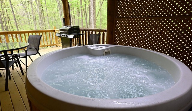 Cabin in the mountains