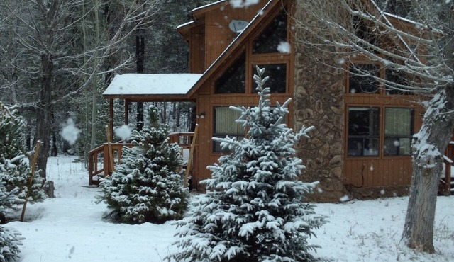 Cabin in the pines