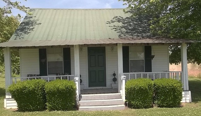 Cabin in the quiet county