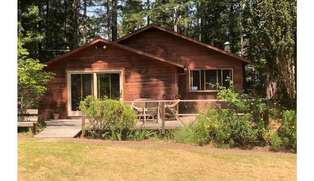 Cabin in the Redwoods