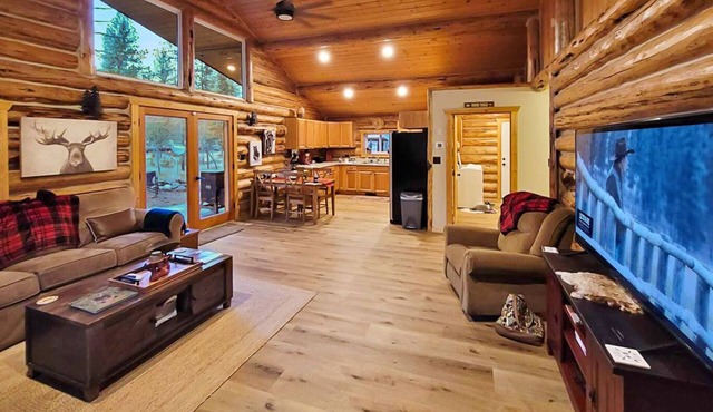 Cabin in the trees next to public land! (Dog friendly!)