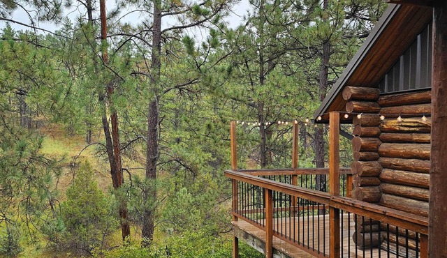 cabin in the woods with Hottub