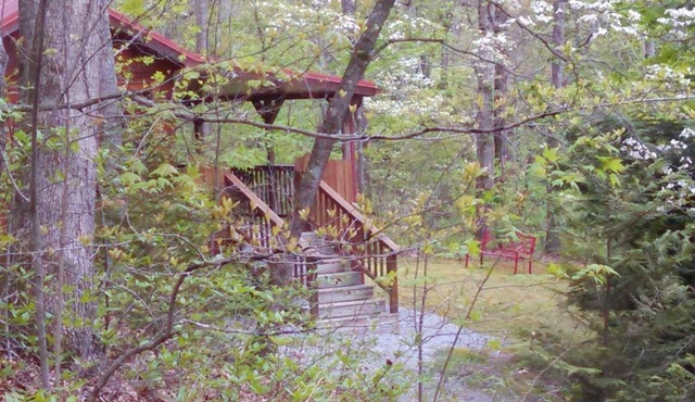 Cabin in the Woods-Peaceful 1BR 20-Acre Rural Retreat-HotTub&WiFi near Asheville