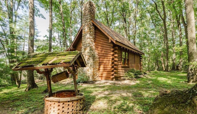 Cabin in the Woods 1b 1b sleeps 2 fireplace