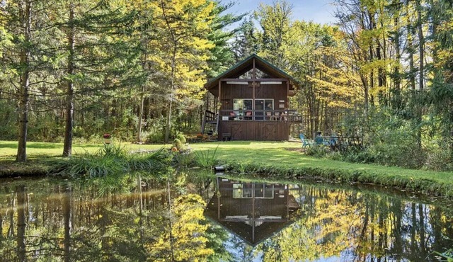Cabin in the woods near the Finger Lakes