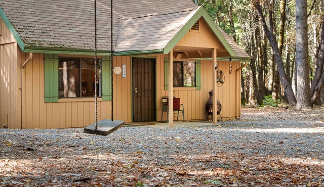Cabin in the Woods
