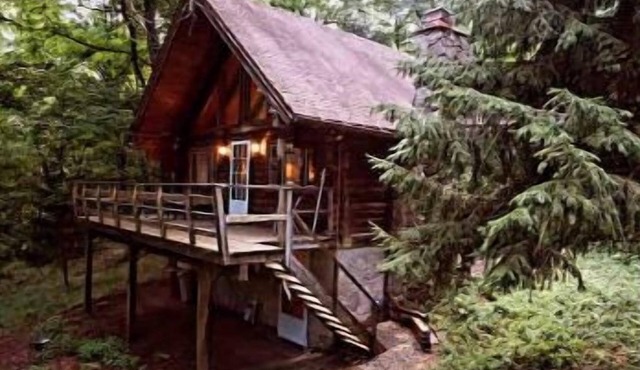 Cabin in the Woods 🌳🪵