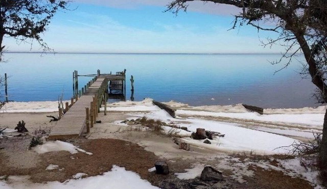 Cabin in the woods on the water hidden away at the beach