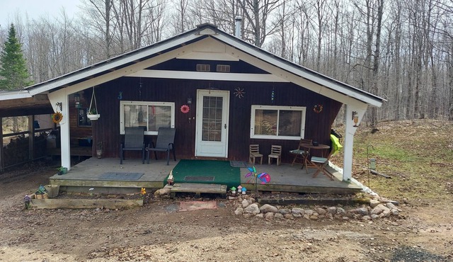 Cabin in the woods