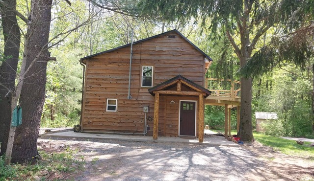 Cabin in the woods. Minutes to Watkins Glen State Park, Racetrack & Wine Trail!