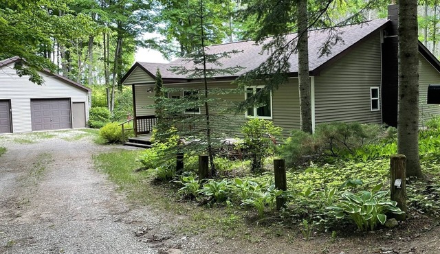 Cabin in the woods