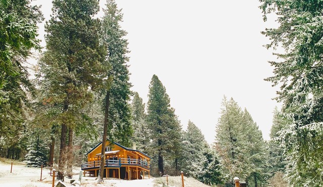 Cabin in the woods, with lake view and hot tub