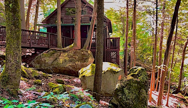 Cabin in the woods with a hot tub and wi-fi