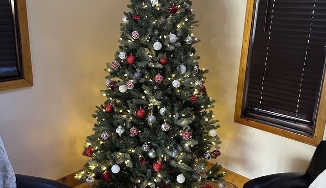 Cabin in the woods with hot tub and lake views. Pets welcome! Close to Nordic.