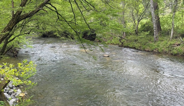 Cabin is located right on Creek, 2-bedroom cabin in charming Blue Ridge.