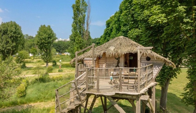 Cabin Nautilus 5p - One Bedroom Cottage, Sleeps 5