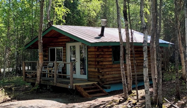 Cabin near Kenai River