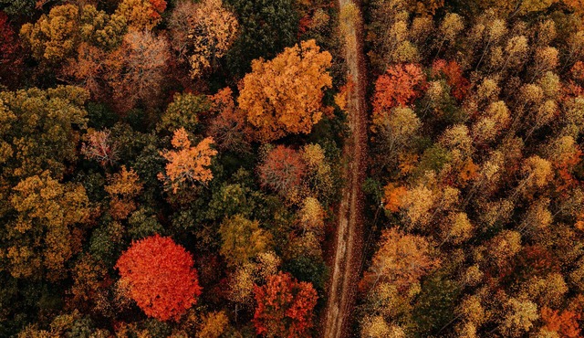Cabin near RRG & Cave Run Lake!