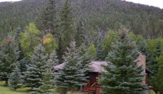 Cabin Nestled in Pines-Valley View, Mtn Trails, Cucharas River