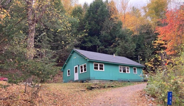 Cabin on 10 acres private hiking/20 min to Hunter, great location for hunters.