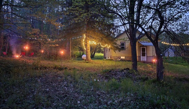 Cabin on 25 Acres of Forest