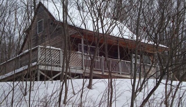 Cabin on 4 acres near Elk Mountain/Dogs OK/Easy Drive from Philly and NYC