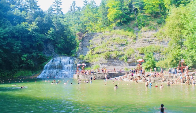 Cabin on 66+ Acre Campround In Addison, New York