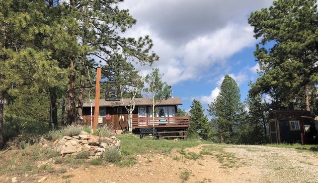 Cabin on a mountain in a forest