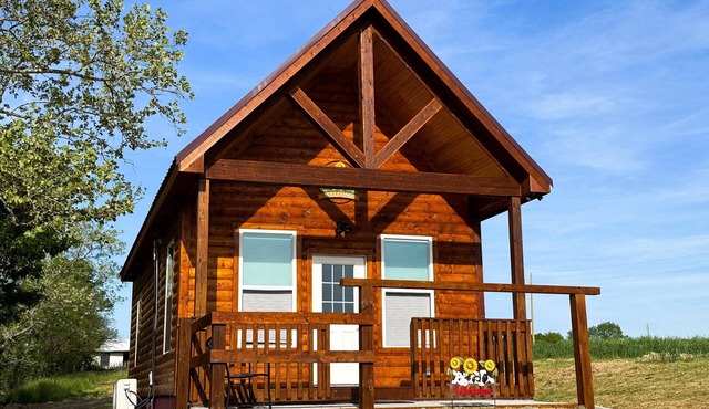 Cabin on Dairy Farm - Near Ark - Feed Grain to Calves and Goats