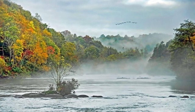 Cabin on Hiawassee River 1 Mile from Campbell Folk School
