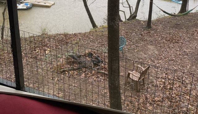 Cabin on Lake Hartwell