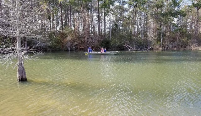 Cabin on Lake Moultrie in Bonneau Beach - private boat ramp & dock