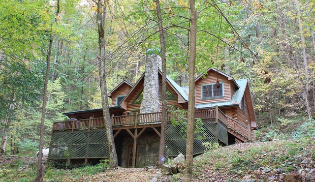 Cabin on Nantahala River! Dog-Friendly