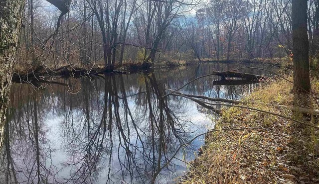 Cabin on Pine River-Sleeps 5