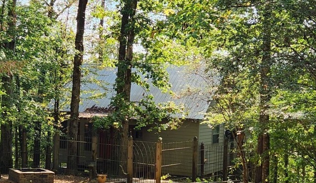 Cabin on the banks of the Chunky River, secluded and quiet. Kayaking available.
