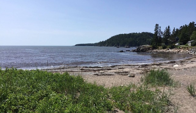 Cabin on the beach at Chance Harbour. Adjacent freshwater marsh with waterfall