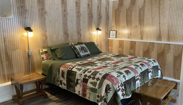 Cabin on the Eagle River Chain! Boat dock slip! Kayaks! Firewood for bonfires!