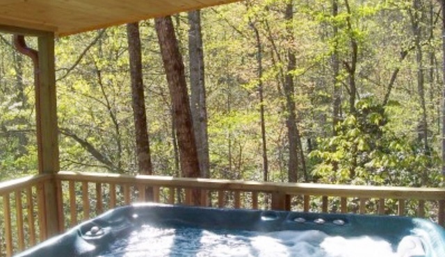 Cabin on the Hill-Peaceful 1BR 20-Acre Rural Retreat-HotTub&WiFi near Asheville