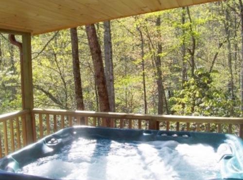 Cabin on the Hill-Peaceful 1BR 20-Acre Rural Retreat-HotTub&WiFi near Asheville