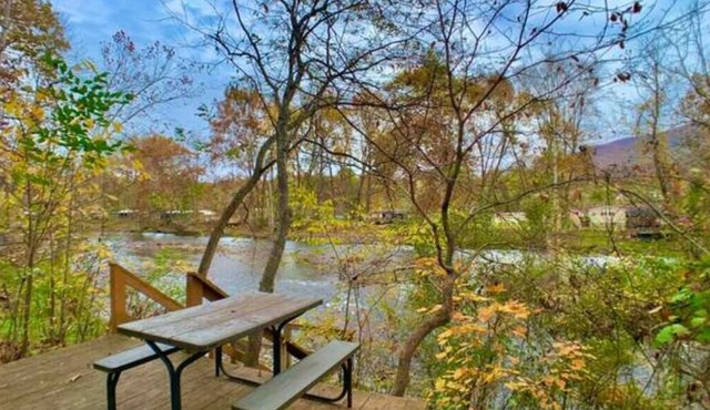 Cabin on the Jackson River with dock, deck, firepit and sauna. Pet friendly!