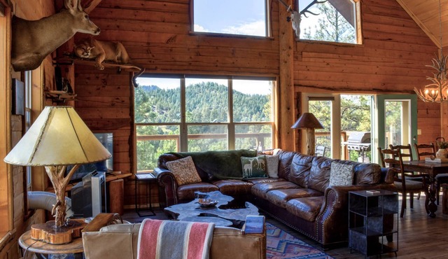 Cabin on the Rocks: 7 Acres, Hot Tub, Stunning Views, 4.5 miles to Pagosa Springs & Wolf Creek Ski!