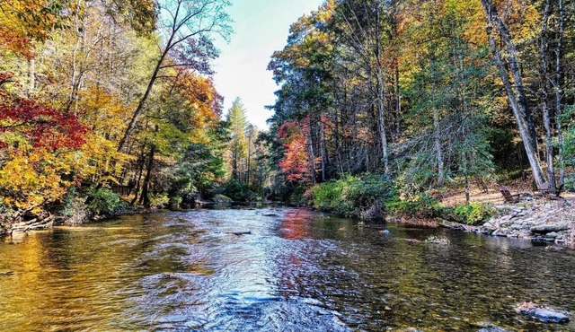 Cabin on the Toccoa River in the mountains! Hot tub, screened porch, river deck