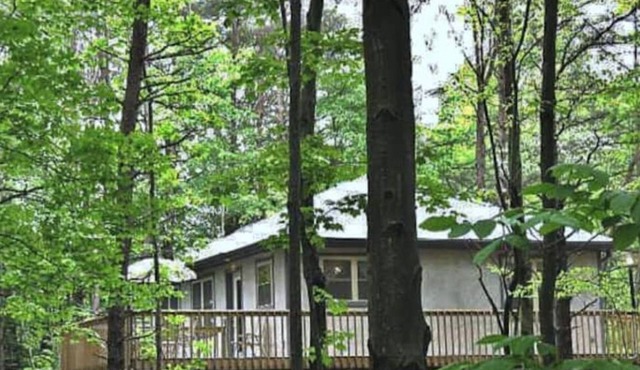 Cabin on wooded ridge, stair-free, 2 bedroom, child & pet friendly