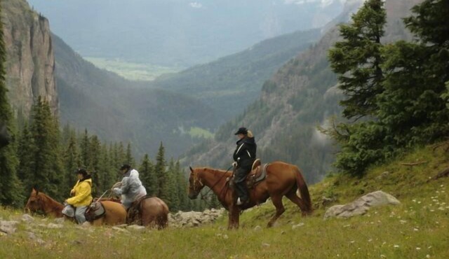 Cabin or Guest Loft & Cabin -Southern CO Paradise -Escape the Crowds!